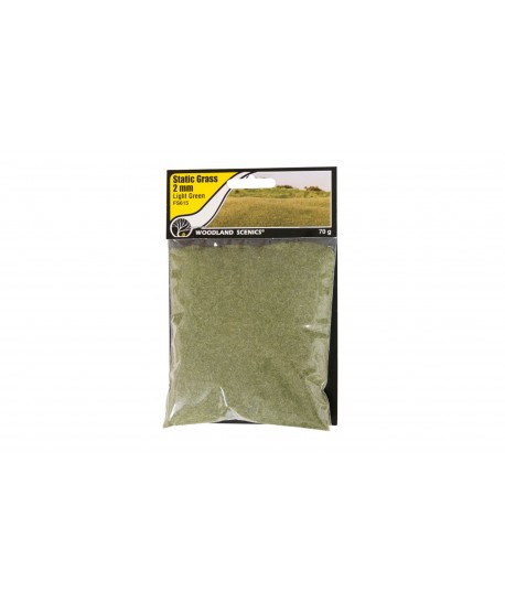WOODLAND SCENICS FS615 - 2mm. Erba Statica Verde Chiaro (70gr.)