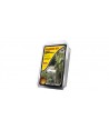 WOODLAND SCENICS LK 955 – KIT INIZIALE PER REALIZZARE TORRENTI e CASCATE