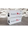 PIRATA PI12308 - Set 2 Container Da 20" Frigo "Hamburg Sud" - 1:87