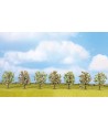 NOCH H0 25092 – set 7 alberi da frutto, fioriti (8cm)