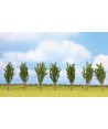 NOCH H0 25098 – set 7 Pioppi (12cm) NOCH H0 25098 – set 7 Pioppi (12cm)