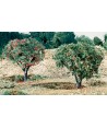 WOODLAND SCENICS T47 – Frutta (mele e arance) in busta