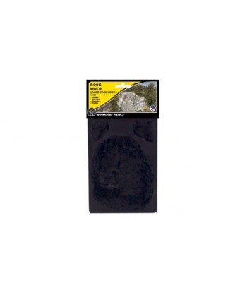 WOODLAND SCENICS C1235 – STAMPI PER ROCCE IN SILICONE
