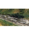 WOODLAND SCENICS C1246 – STAMPO PER ROCCE CREEK BED – IN SILICONE