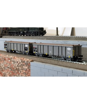 PIKO H0 97300 – Set 2 carri Eaos con carico legname -SBB Ep. V-VI