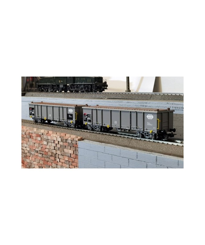 PIKO H0 97300 – Set 2 carri Eaos con carico legname -SBB Ep. V-VI