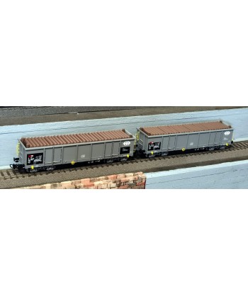 PIKO H0 97300 – Set 2 carri Eaos con carico legname -SBB Ep. V-VI