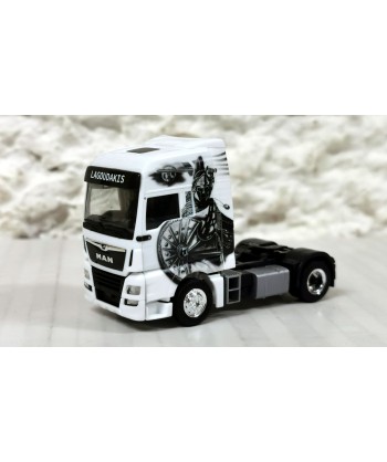 HERPA 314923