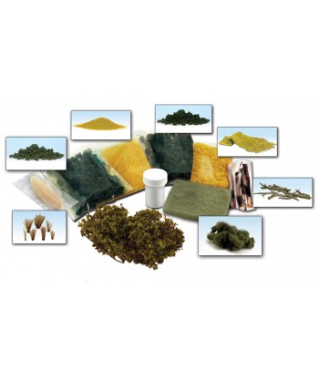 WOODLAND SCENICS LK 956 – KIT INIZIALE PER SCENARI