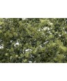 WOODLAND SCENICS F1133 – FOGLIAME VERDE OLIVA IN BLISTER