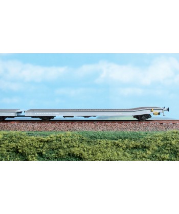 blackstar BS10030 carro bimodulo TWA GAAL