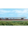 blackstar BS10030 carro bimodulo TWA GAAL