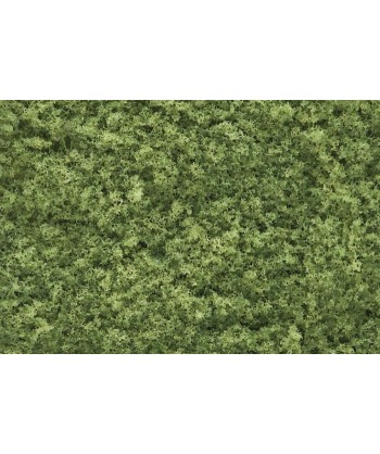 WOODLAND SCENICS F51 – FOGLIAME VERDE CHIARO IN BUSTA