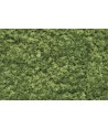 WOODLAND SCENICS F51 – FOGLIAME VERDE CHIARO IN BUSTA