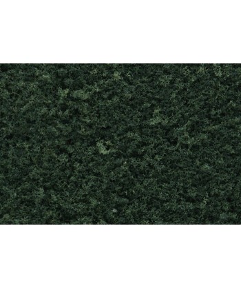 WOODLAND SCENICS F53 – FOGLIAME VERDE SCURO IN BUSTA