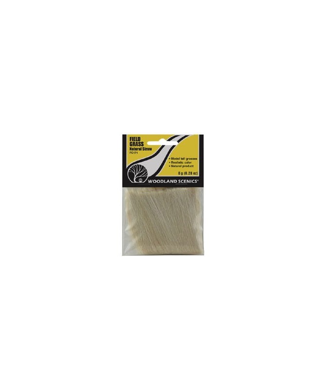 WOODLAND SCENICS FG171 – ERBA DI CAMPO PAGLIA IN BUSTA 8 gr.