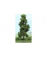 heki 1350vm albero verde medio 11 cm