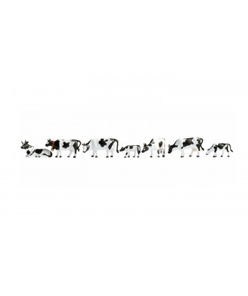 noch 15721 mucche bianche/nere